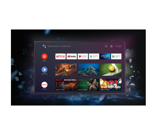 Sharp 24BI5EA HD AndroidTV - 1386393 - zdjęcie 5